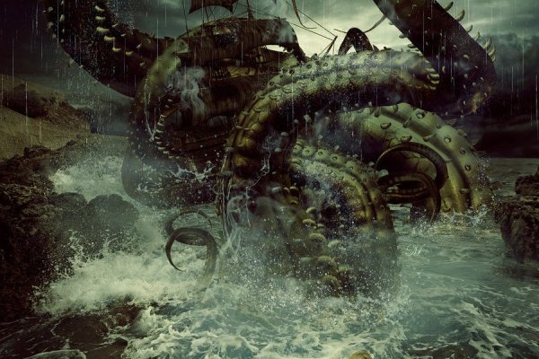Kraken 24 top