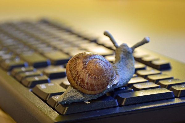 Kraken darknet to run