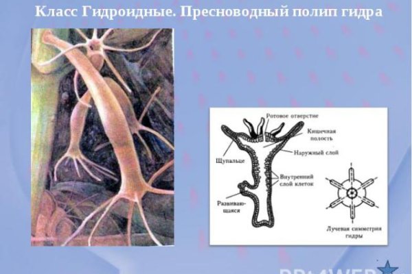 Кракен даркнет маркет плейс