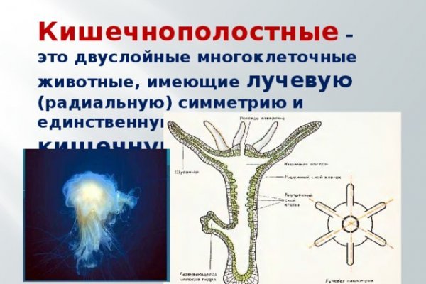 Ссылка на сайт кракен в тор браузере