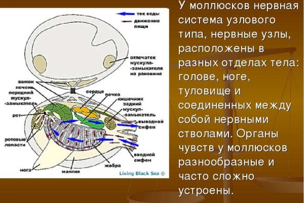 Как восстановить аккаунт на кракене даркнет